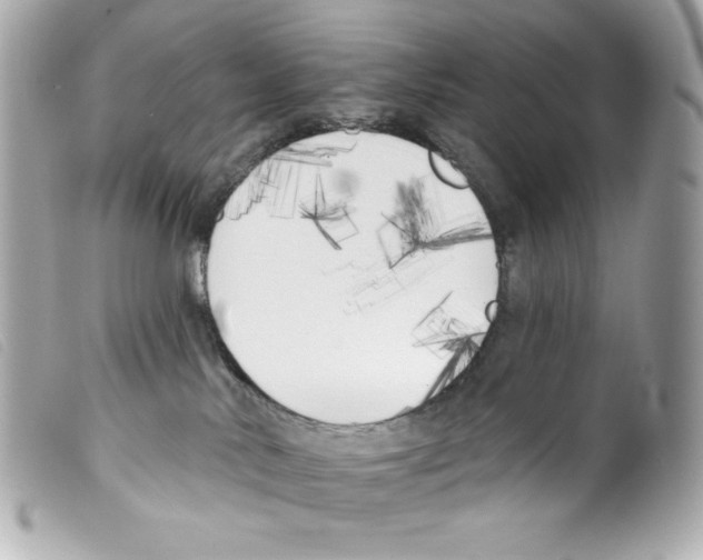 X0000099320042200805301225