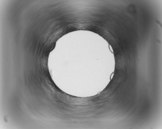 X0000099320044200805301225