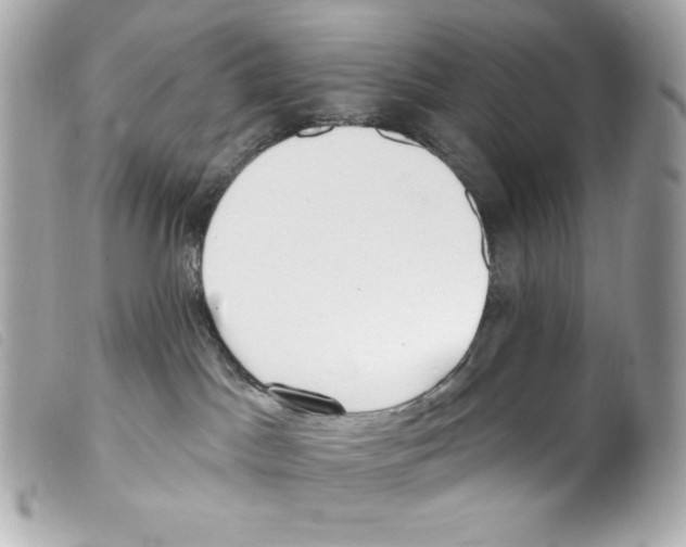 X0000099320045200805301225