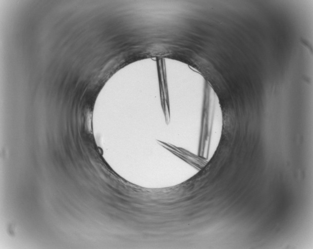 X0000099320046200805301225