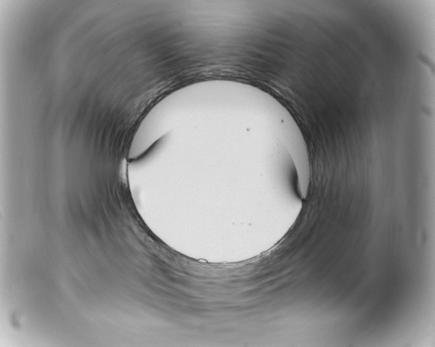 X0000099320047200805301225