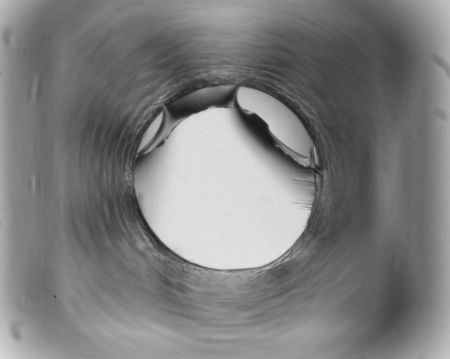 X0000099320048200805301225