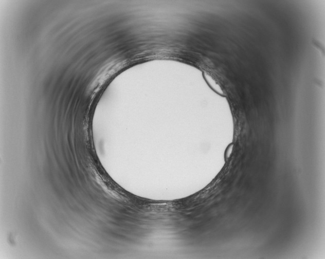 X0000099320050200805301224