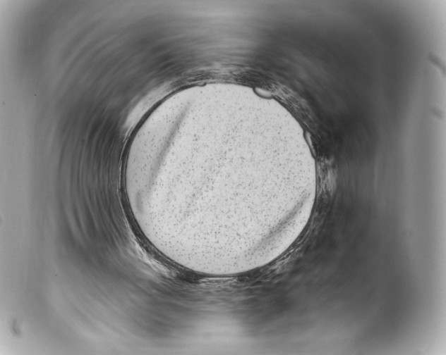 X0000099320051200805301224