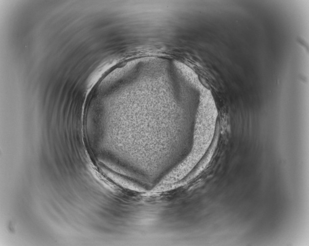 X0000099320052200805301224