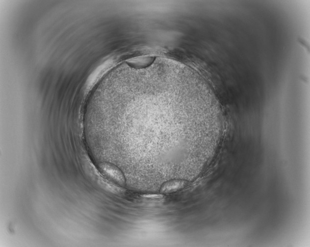X0000099320053200805301224