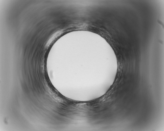 X0000099320054200805301224
