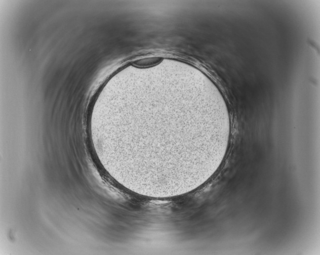 X0000099320055200805301224