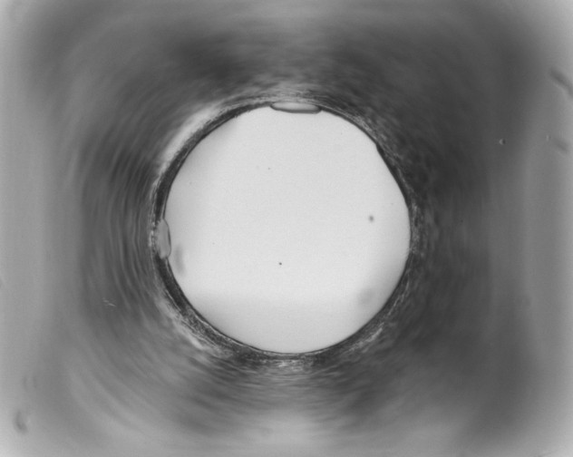 X0000099320056200805301224