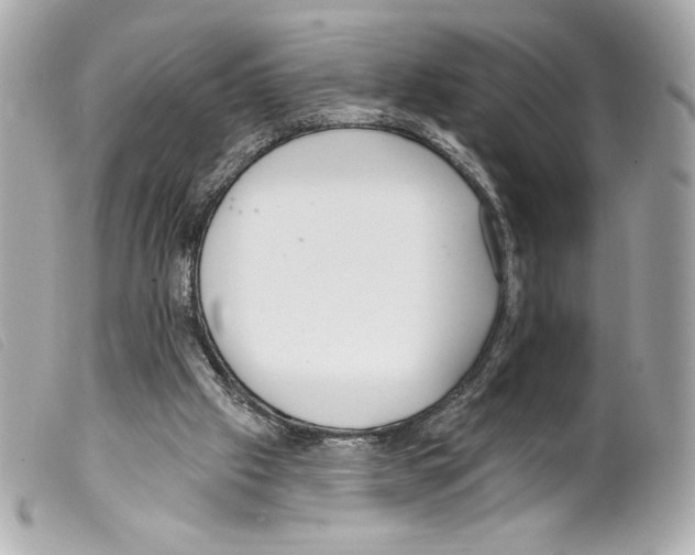 X0000099320057200805301224