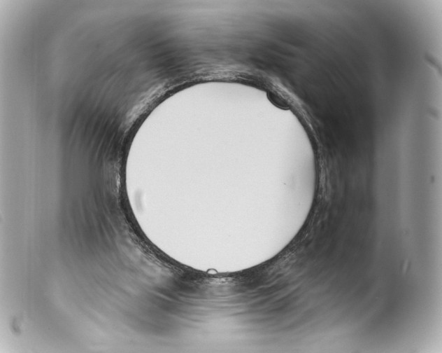 X0000099320059200805301224