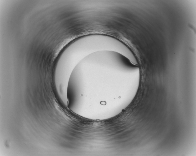 X0000099320060200805301224