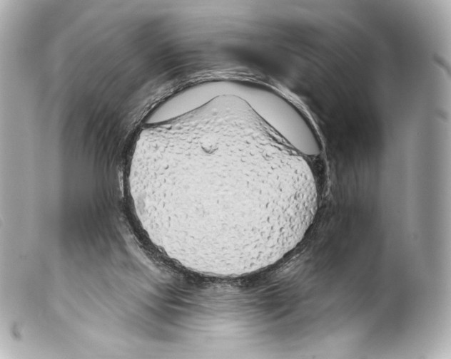 X0000099320061200805301224