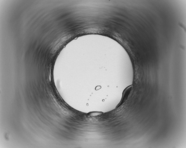 X0000099320062200805301224
