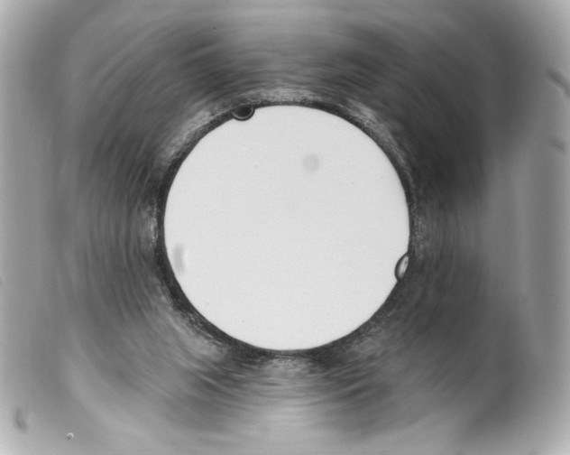 X0000099320063200805301224
