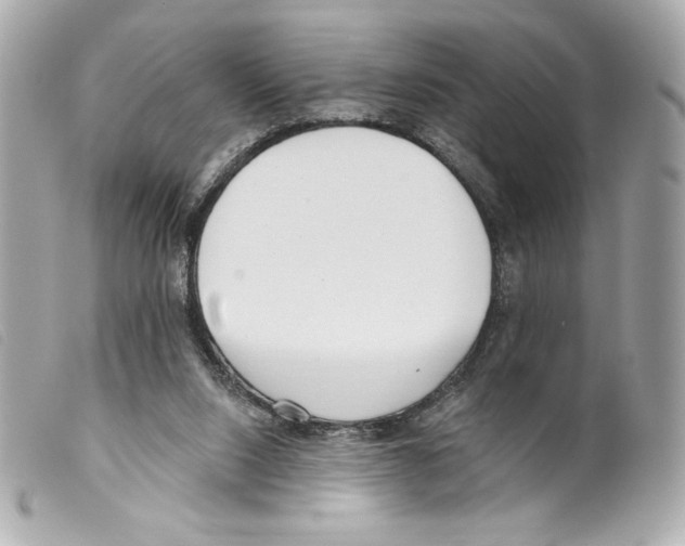 X0000099320064200805301224
