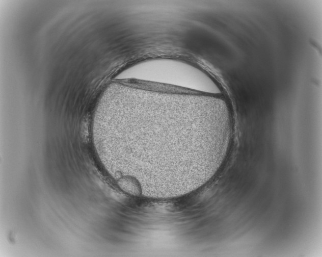 X0000099320065200805301224