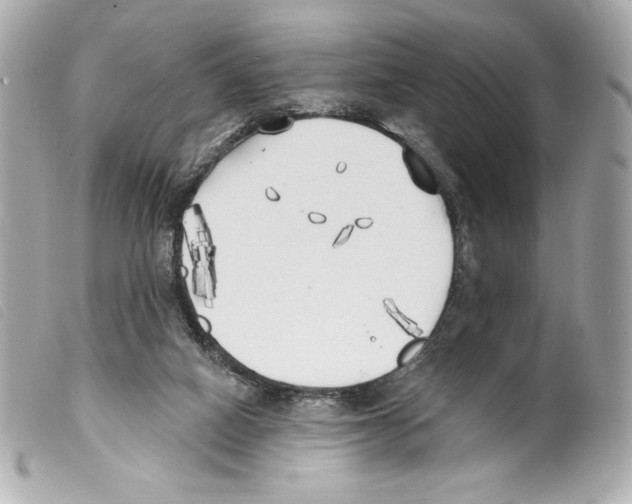 X0000099320066200805301224