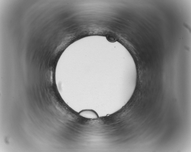 X0000099320067200805301224