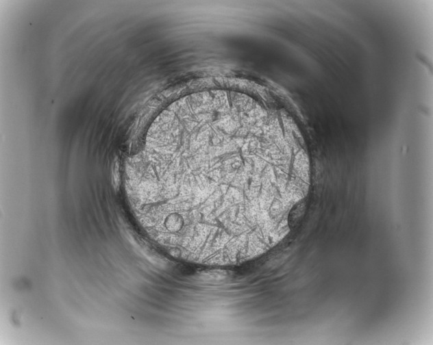 X0000099320069200805301224