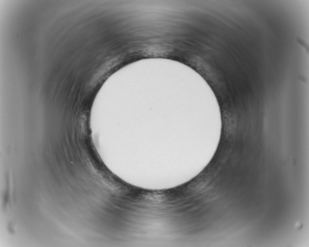X0000099320071200805301224
