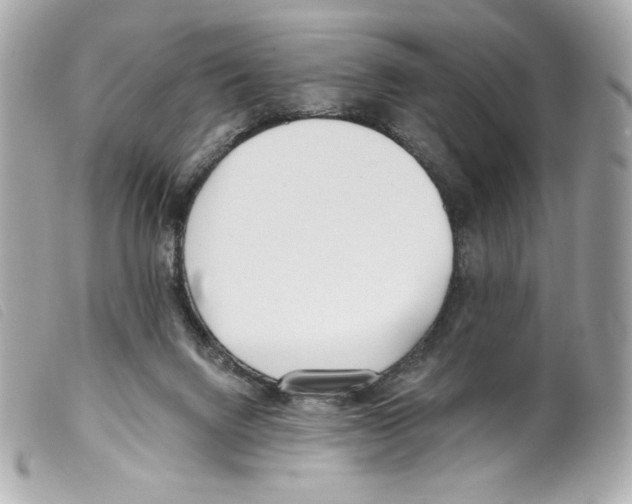 X0000099320072200805301224