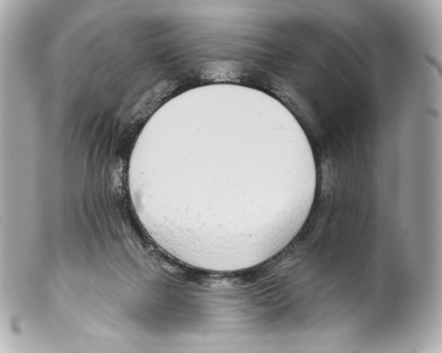 X0000099320073200805301224