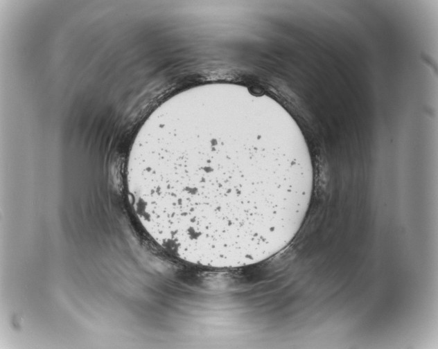 X0000099320074200805301224