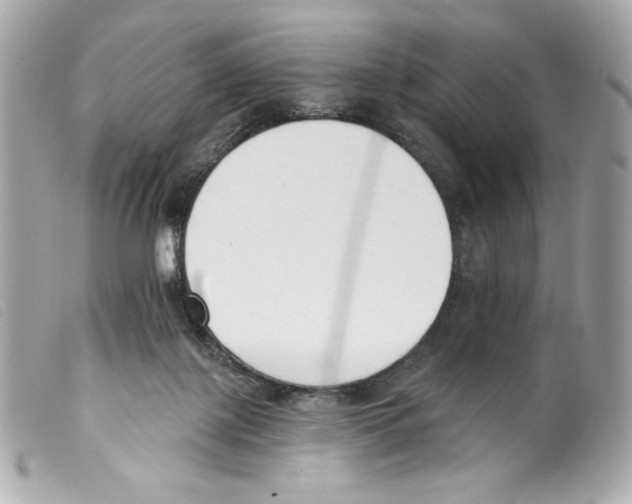 X0000099320075200805301224