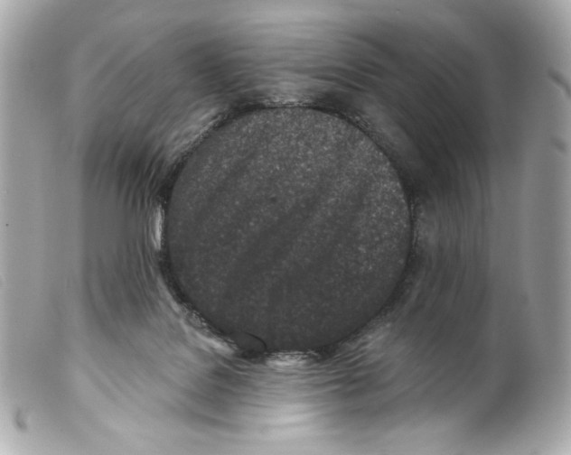 X0000099320076200805301224