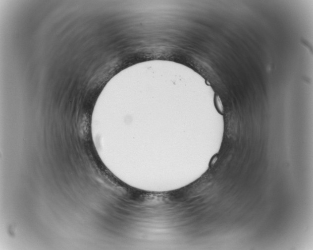 X0000099320077200805301224