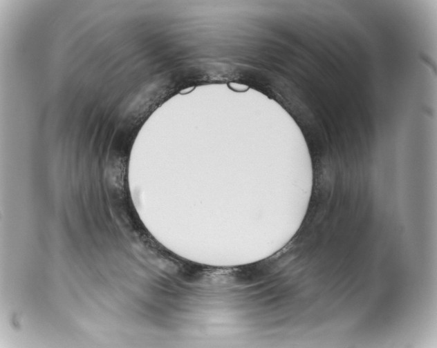 X0000099320078200805301224