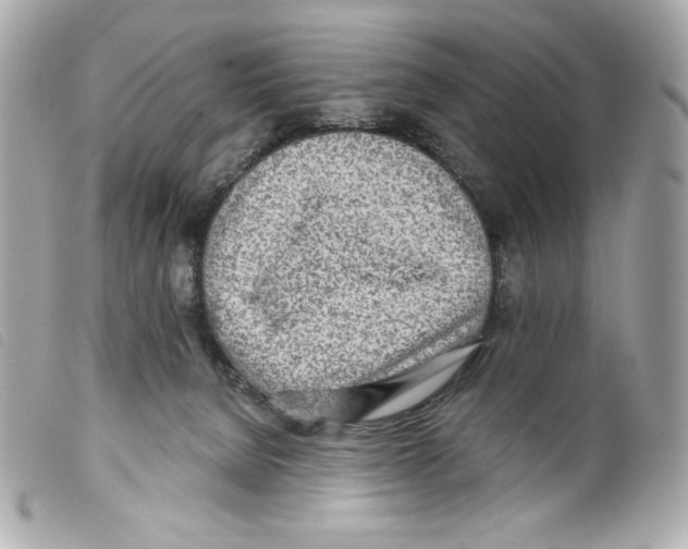 X0000099320080200805301224