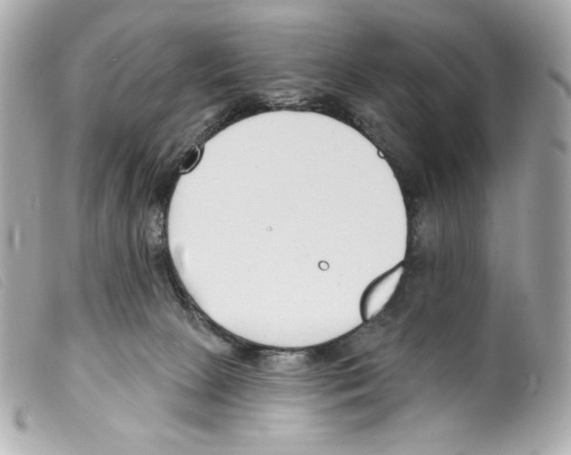X0000099320081200805301225