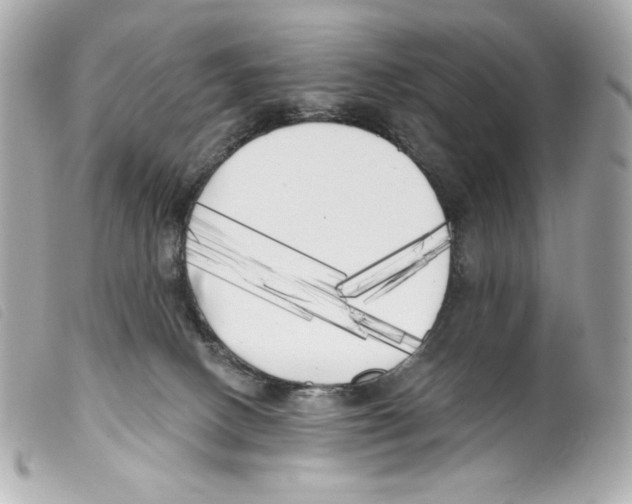 X0000099320082200805301225