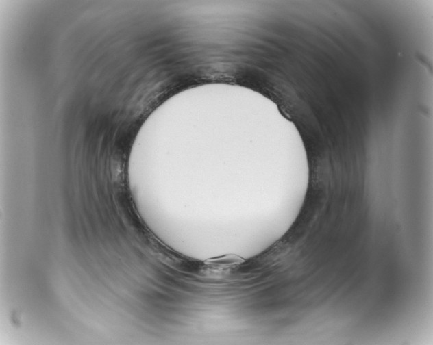 X0000099320084200805301225