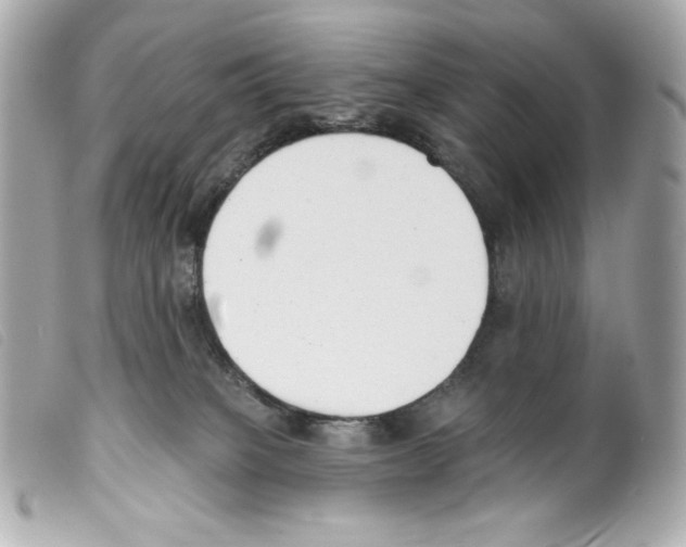 X0000099320085200805301225