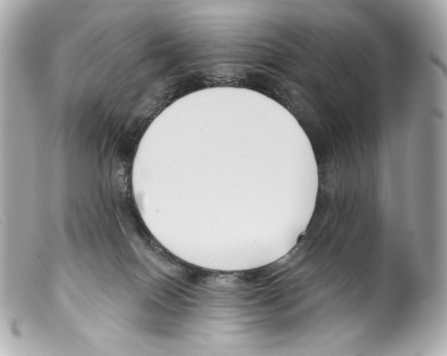 X0000099320086200805301225