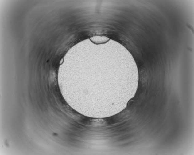 X0000099320087200805301225