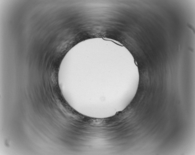 X0000099320088200805301225