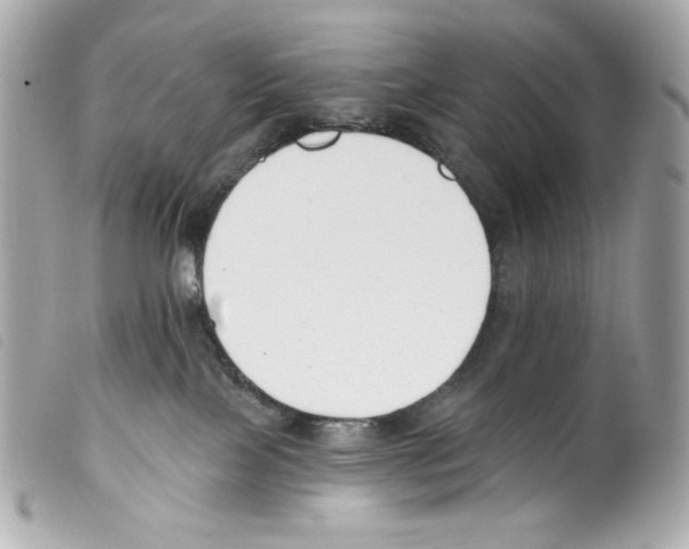 X0000099320089200805301225