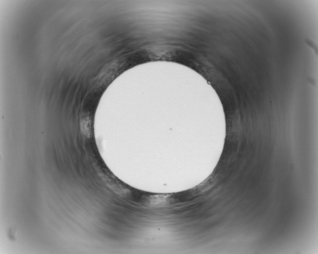 X0000099320090200805301225