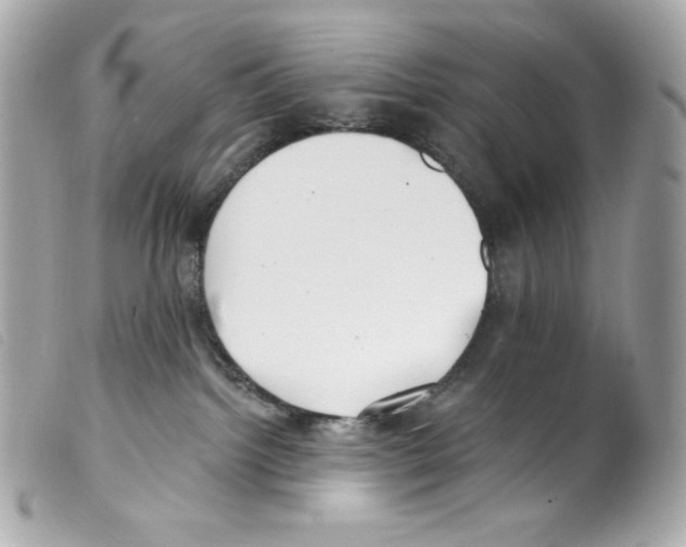 X0000099320092200805301225