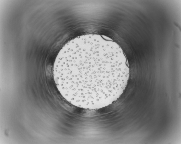 X0000099320093200805301225