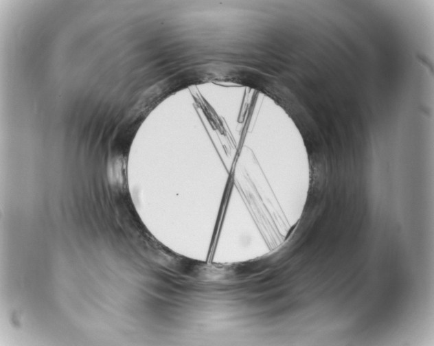 X0000099320094200805301225