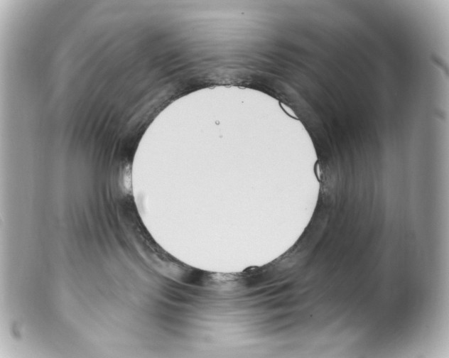 X0000099320095200805301225