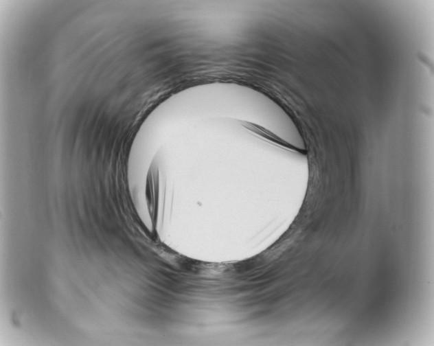 X0000099320096200805301225