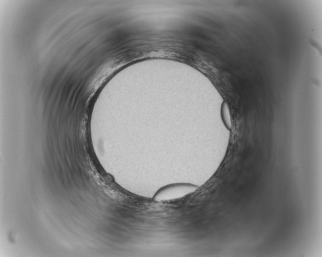 X0000099320098200805301224