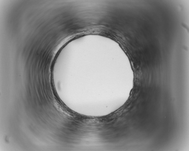 X0000099320100200805301224