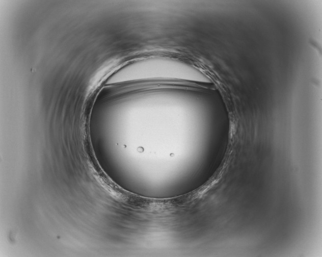 X0000099320101200805301224
